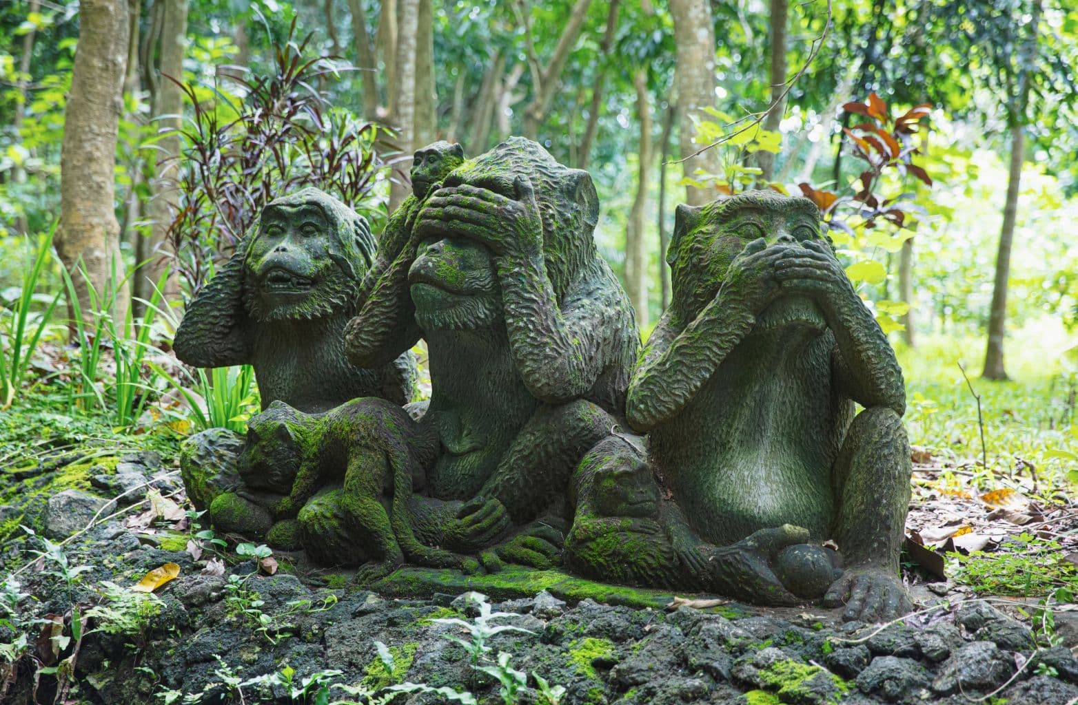 Ubud: Movement & Culture 2