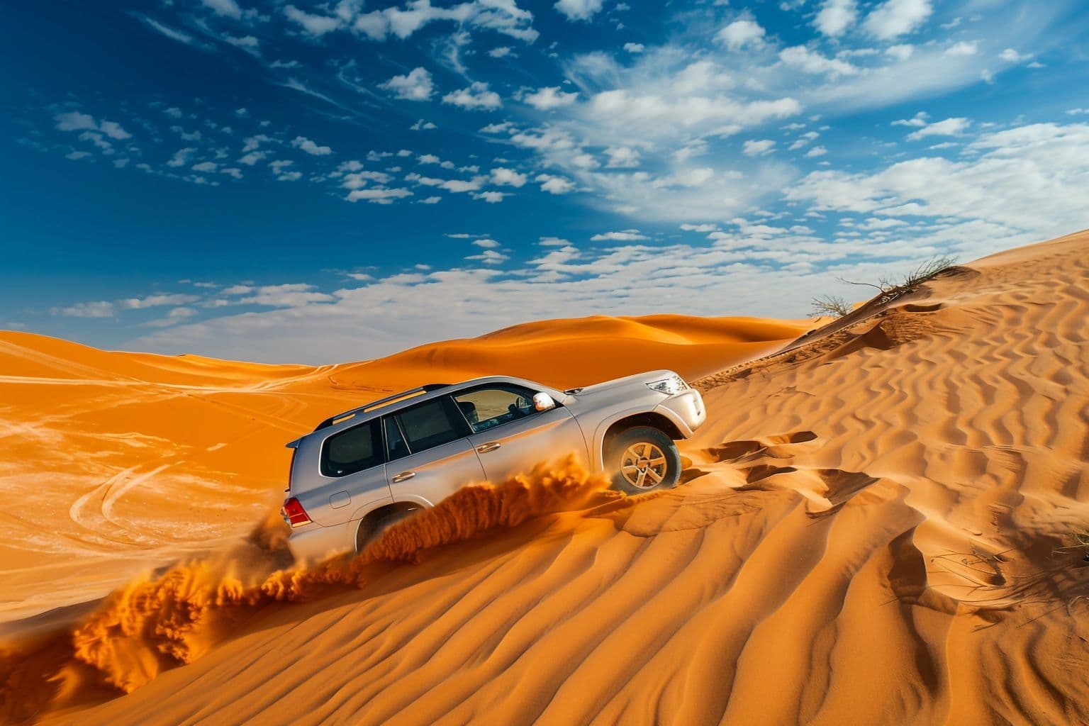 Desert Thrills