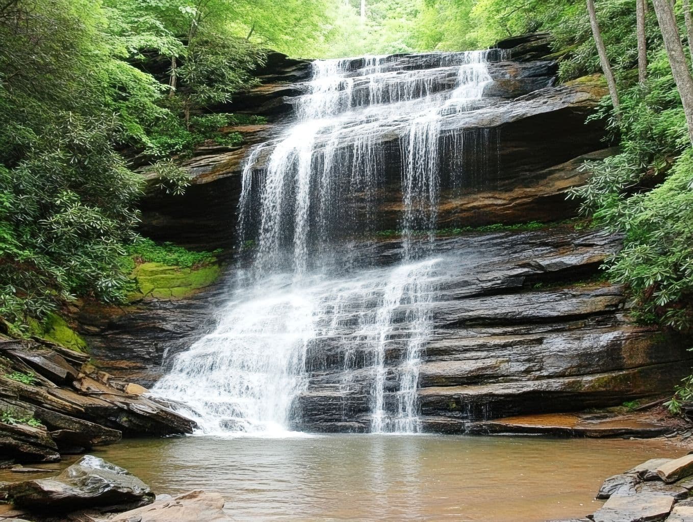 Deep Healing & Nature Immersion 1