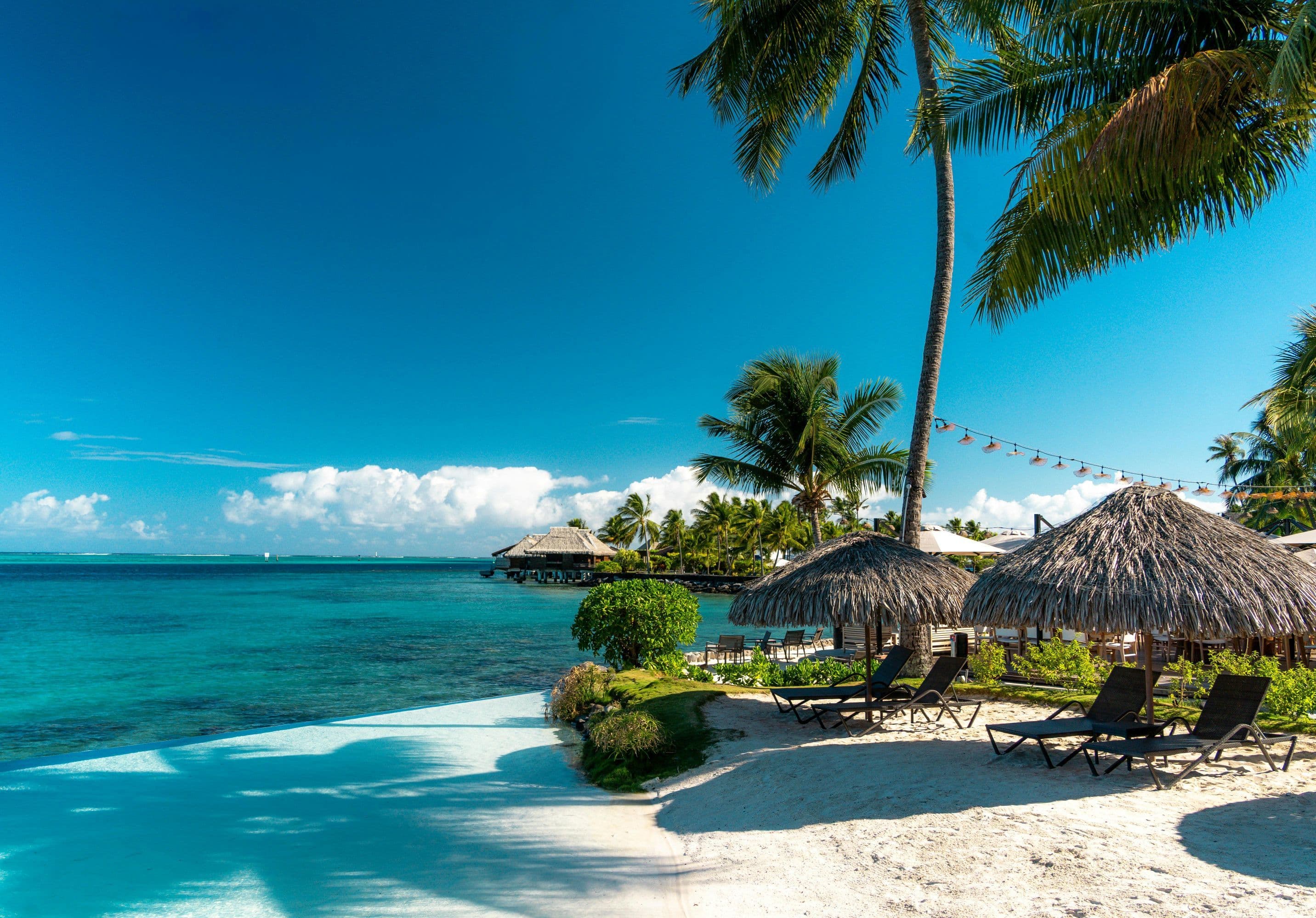 The Endless Summer Tahiti Experience